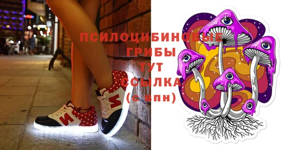 не бодяженный Михайлов
