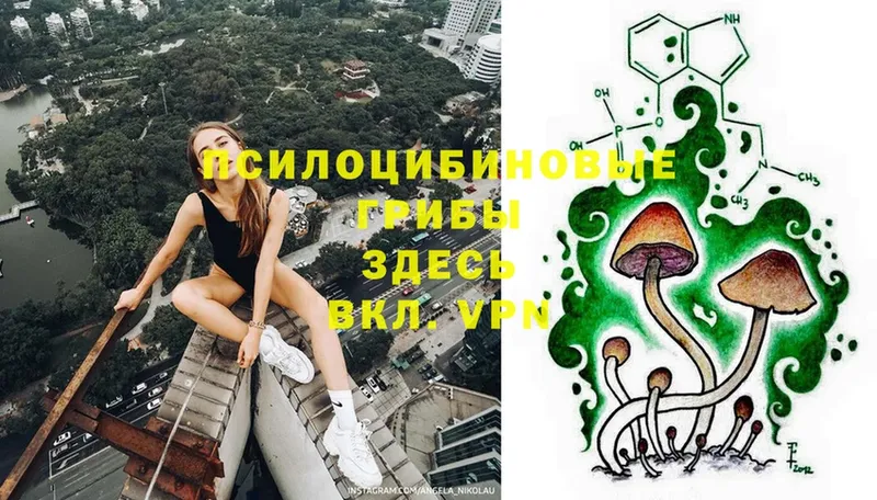 Псилоцибиновые грибы MAGIC MUSHROOMS  гидра зеркало  Кумертау  продажа наркотиков 