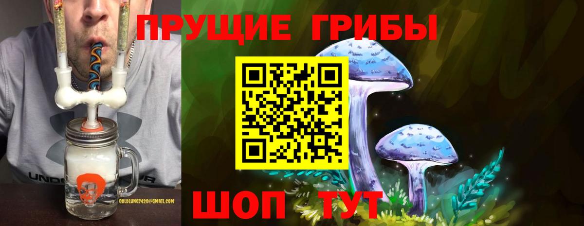 Псилоцибиновые грибы Cubensis Кумертау